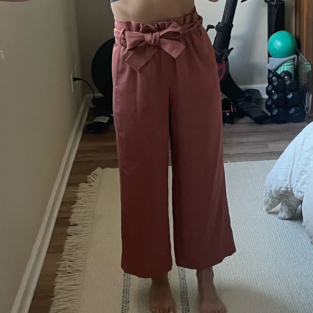 Aritzia Wilfred Pants